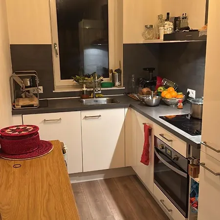 Appartement Newly Renovated 1 Bed Flat Zaandam