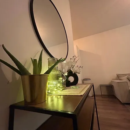 Newly Renovated 1 Bed Flat